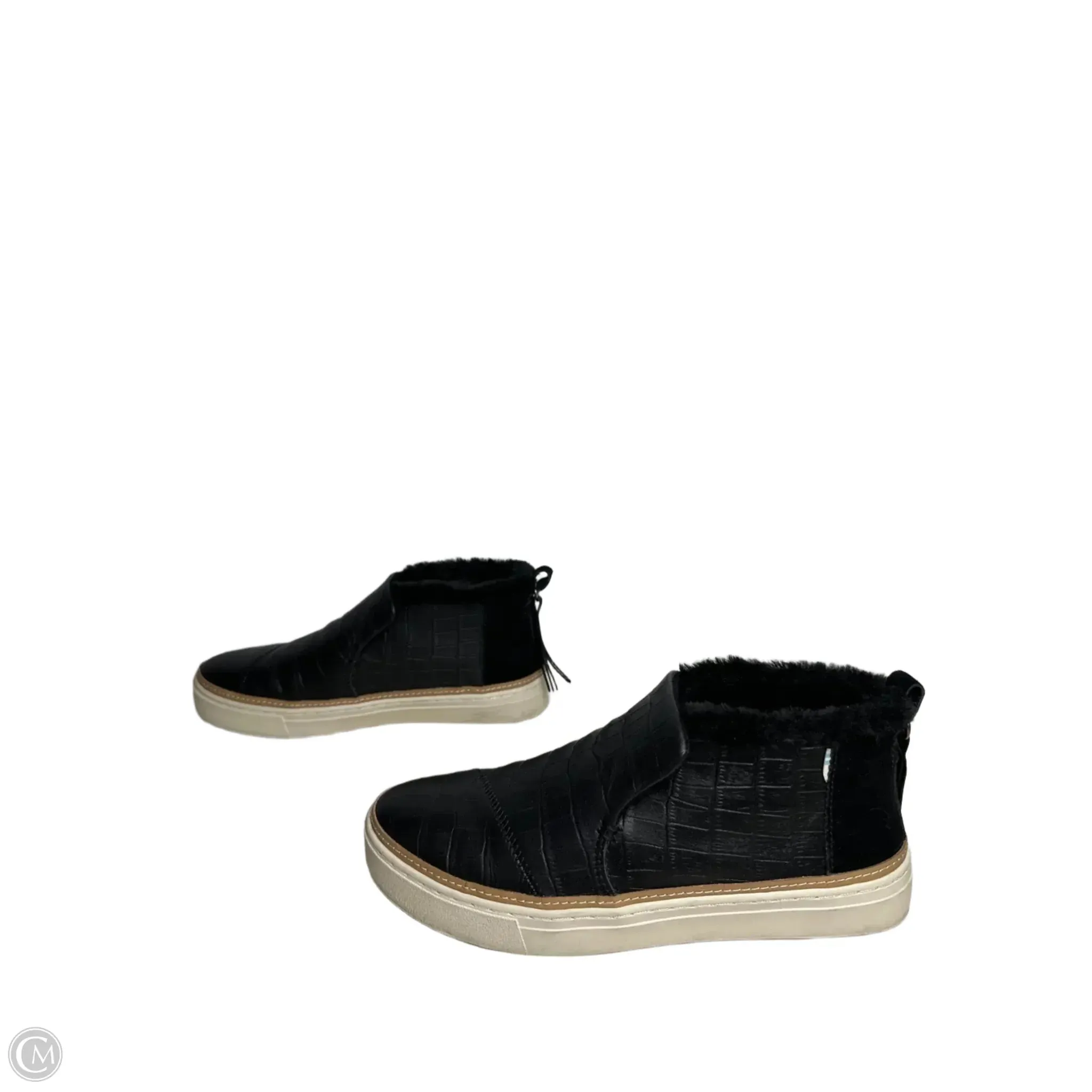 Shoes Sneakers By Toms In Black, Size: 8.5 toms