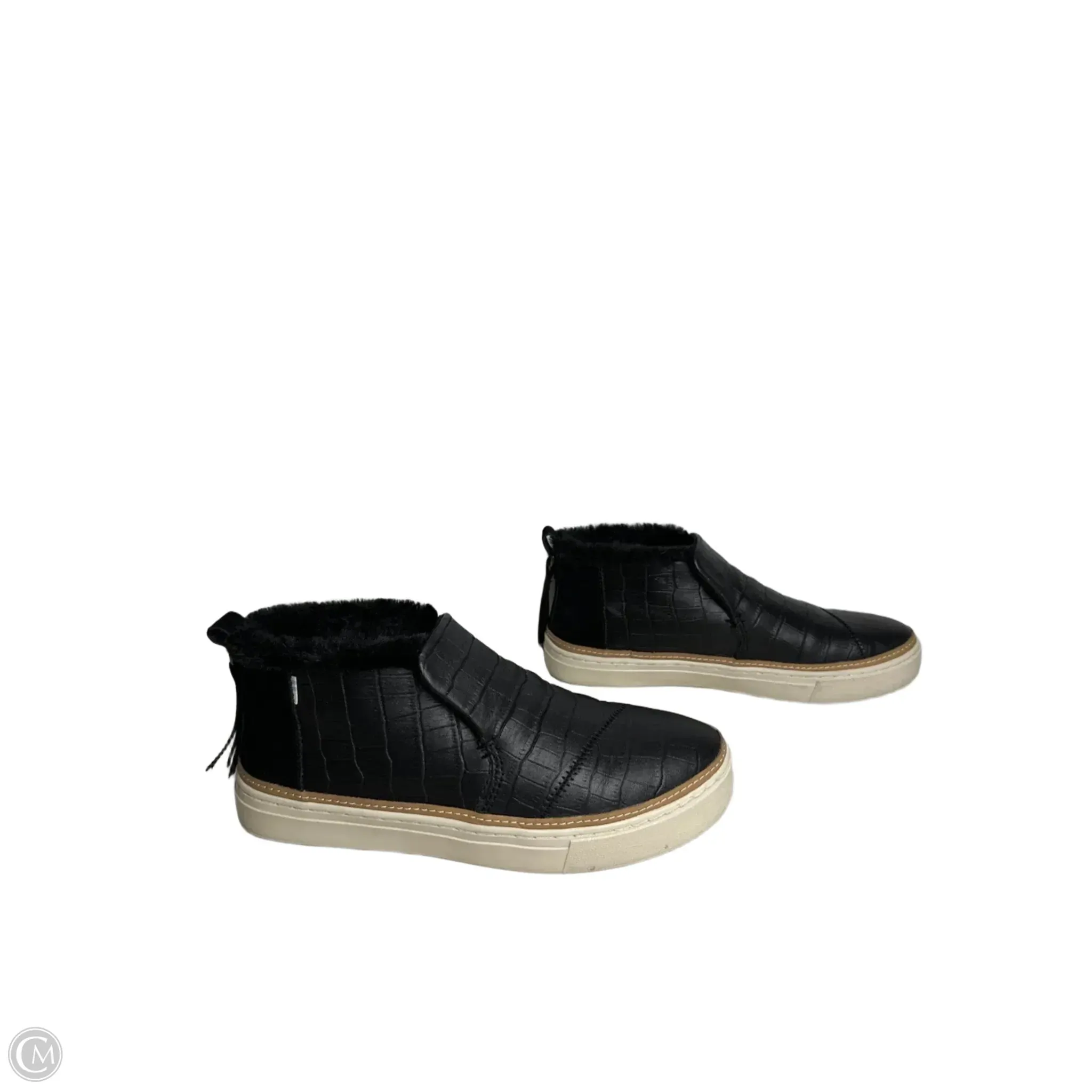Shoes Sneakers By Toms In Black, Size: 8.5 toms