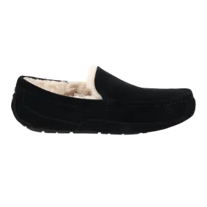 Shoes Ugg Men's Ascot