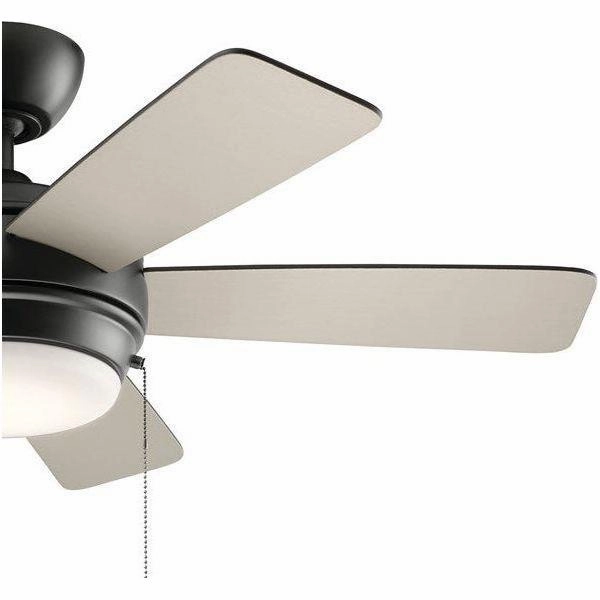 Starkk Ceiling Fan