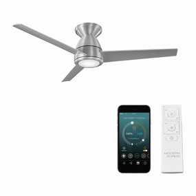 Tip Top Indoor/Outdoor 3-Blade 44" Smart Flush Mount Ceiling Fan with LED Light Kit and Remote Control quiet ceiling fans with remote control