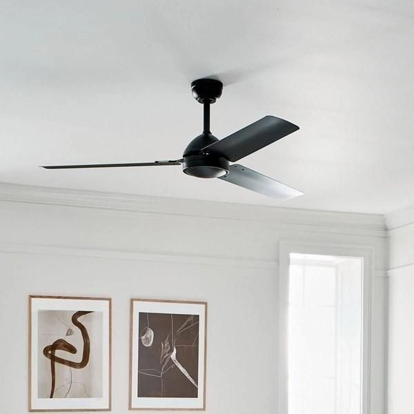 Todo Ceiling Fan