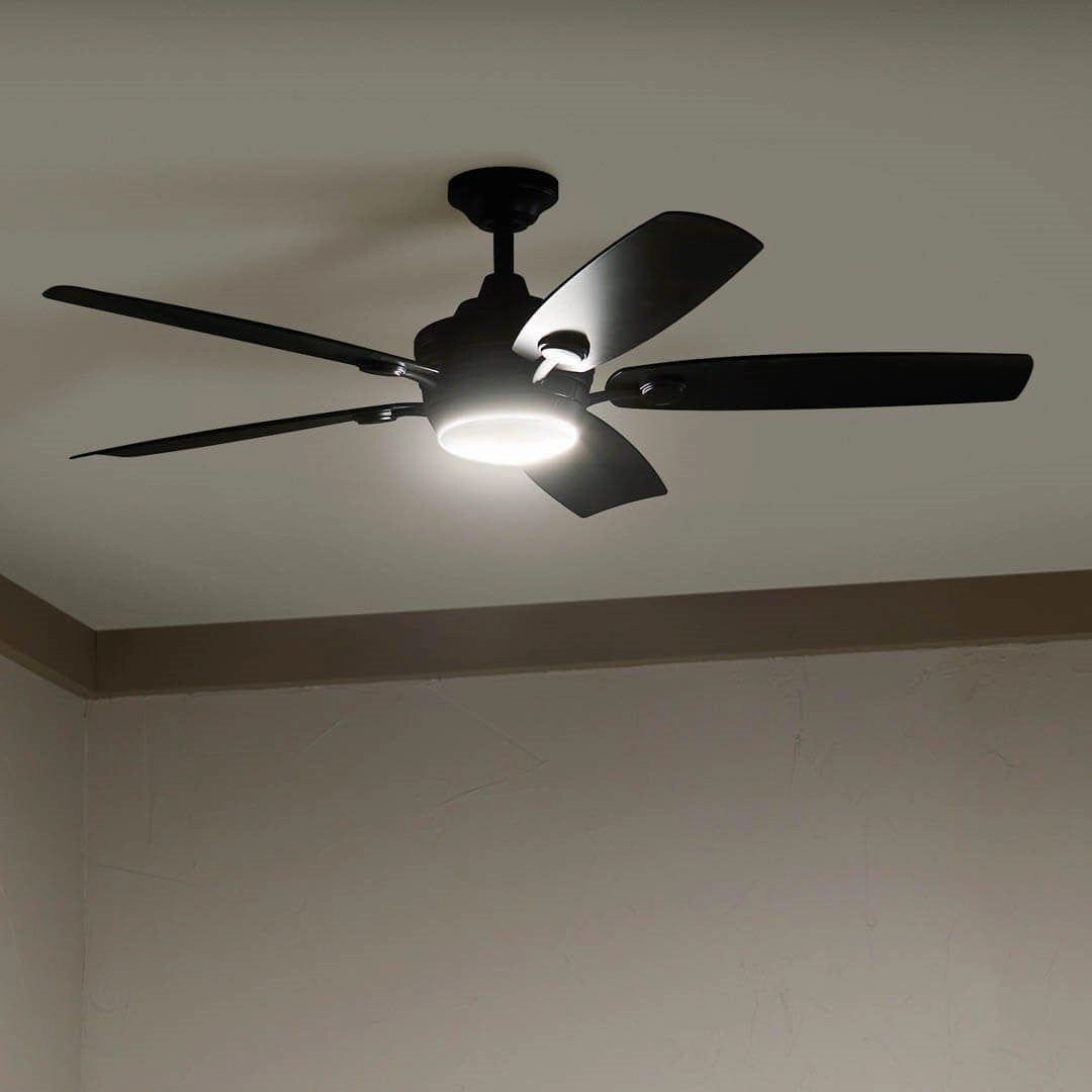 Tranquil 56" Ceiling Fan
