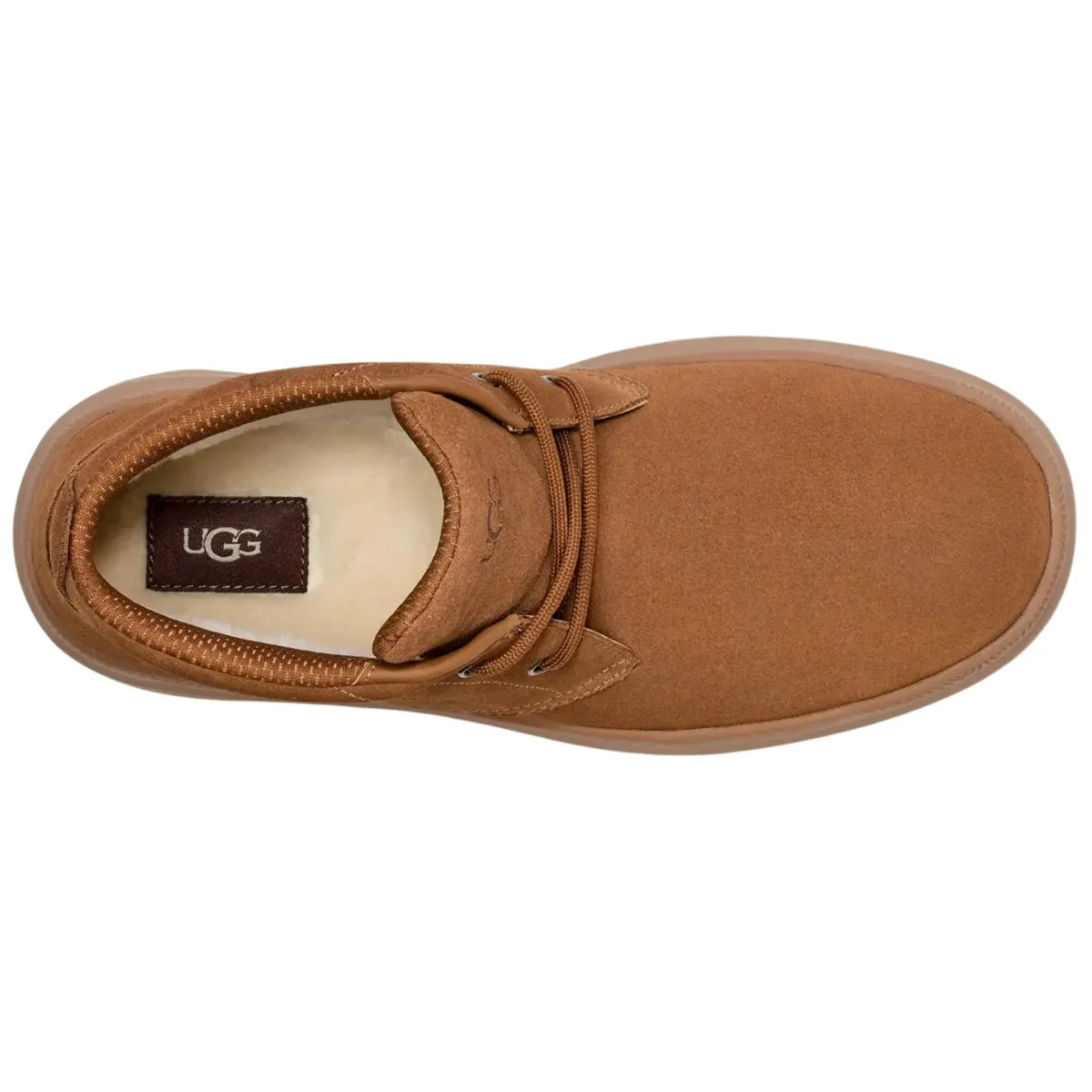 UGG Men's Burleigh Chukka Chestnut UGG Shoes