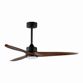 Woodwind 52" Fan with LED Light Kit quiet ceiling fans with remote control