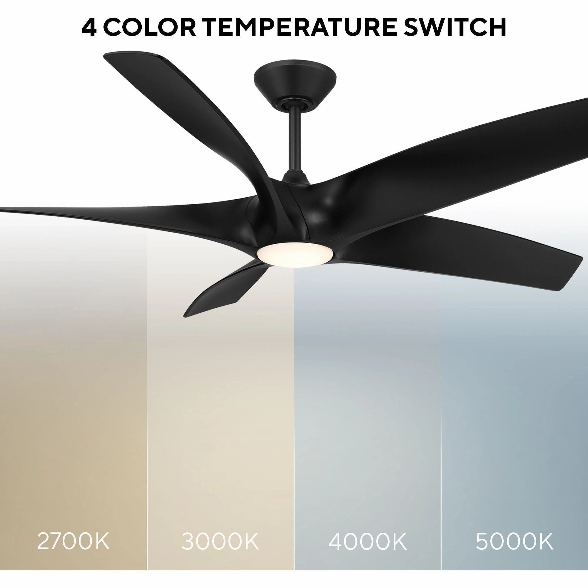 Zephyr Indoor/Outdoor 5-Blade 62" LED Smart Ceiling Fan